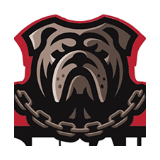 Detail Dawgs